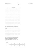 NEISSERIA MENINGITIDIS ANTIGENS AND COMPOSITIONS diagram and image