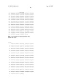 NEISSERIA MENINGITIDIS ANTIGENS AND COMPOSITIONS diagram and image