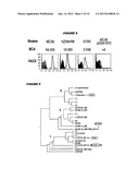 MULTIPLE VARIANTS OF MENINGOCOCCAL PROTEIN NMB1870 diagram and image