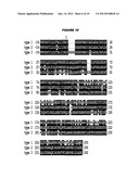 MULTIPLE VARIANTS OF MENINGOCOCCAL PROTEIN NMB1870 diagram and image