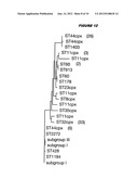 MULTIPLE VARIANTS OF MENINGOCOCCAL PROTEIN NMB1870 diagram and image