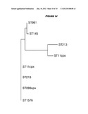 MULTIPLE VARIANTS OF MENINGOCOCCAL PROTEIN NMB1870 diagram and image