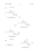 CONJUGATES OF SYNTHETIC TLR AGONISTS AND USES THEREFOR diagram and image