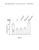 PEPTIDES THAT DOWN REGULATE THE ACTIVITY OF PLASMA MEMBRANE TRANSPORTERS     INCLUDING SODIUM-D-GLUCOSE COTRANSPORTER SGLT1 diagram and image