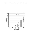 Antimicrobial Composition and Use as Food Treatment diagram and image