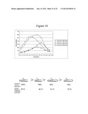 Detection of Small Nucleic Acids diagram and image