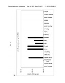 Detection of Small Nucleic Acids diagram and image