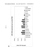 Detection of Small Nucleic Acids diagram and image