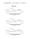 Detection of Small Nucleic Acids diagram and image