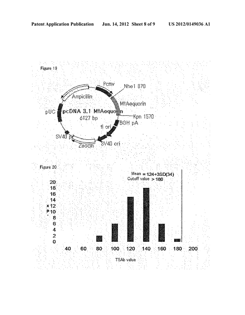 BIOASSAY METHOD FOR ANTIBODY AGAINST THYROID-STIMULATING HORMONE RECEPTOR,     MEASUREMENT KIT FOR THE ANTIBODY, AND NOVEL GENETICALLY MODIFIED CELL FOR     USE IN THE BIOASSAY METHOD OR THE MEASUREMENT KIT - diagram, schematic, and image 09