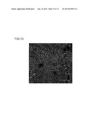 CARRIER PEPTIDE FRAGMENT AND USE THEREOF diagram and image