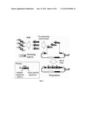 Nucleic Acids for Cloning and Expressing Multiprotein Complexes diagram and image