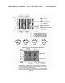 Nucleic Acids for Cloning and Expressing Multiprotein Complexes diagram and image