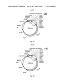 Nucleic Acids for Cloning and Expressing Multiprotein Complexes diagram and image