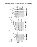 Nucleic Acids for Cloning and Expressing Multiprotein Complexes diagram and image