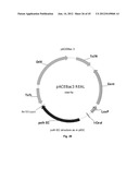 Nucleic Acids for Cloning and Expressing Multiprotein Complexes diagram and image