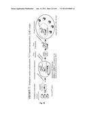 Nucleic Acids for Cloning and Expressing Multiprotein Complexes diagram and image