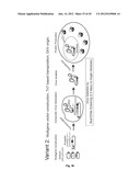 Nucleic Acids for Cloning and Expressing Multiprotein Complexes diagram and image