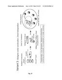 Nucleic Acids for Cloning and Expressing Multiprotein Complexes diagram and image