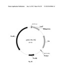 Nucleic Acids for Cloning and Expressing Multiprotein Complexes diagram and image