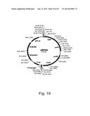 Methods for producing hyaluronan in a recombinant host cell diagram and image