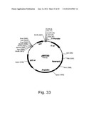 Methods for producing hyaluronan in a recombinant host cell diagram and image