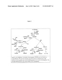 Mesophilic and Thermophilic Organisms Modified to Produce Acrylate, and     Methods of Use Thereof diagram and image