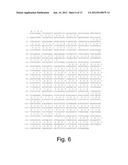 Polypeptides Having C4 Dicarboxylic Acid Transporter Activity and     Polynucleotides Encoding Same diagram and image