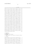 PRRS VIRUSES, INFECTIOUS CLONES, MUTANTS THEREOF, AND METHOD OF USE diagram and image