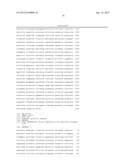 PRRS VIRUSES, INFECTIOUS CLONES, MUTANTS THEREOF, AND METHOD OF USE diagram and image