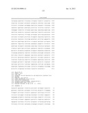 PRRS VIRUSES, INFECTIOUS CLONES, MUTANTS THEREOF, AND METHOD OF USE diagram and image