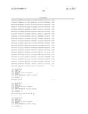 PRRS VIRUSES, INFECTIOUS CLONES, MUTANTS THEREOF, AND METHOD OF USE diagram and image