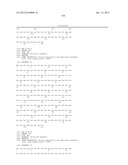 PRRS VIRUSES, INFECTIOUS CLONES, MUTANTS THEREOF, AND METHOD OF USE diagram and image