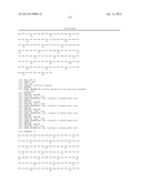 PRRS VIRUSES, INFECTIOUS CLONES, MUTANTS THEREOF, AND METHOD OF USE diagram and image