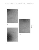 Methods For Cell Culture Using A Synthetic, Defined Collagen Mimetic     Surface diagram and image