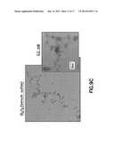 HYDROGEN SULFIDE (H2S) DETECTION USING FUNCTIONALIZED NANOPARTICLES diagram and image