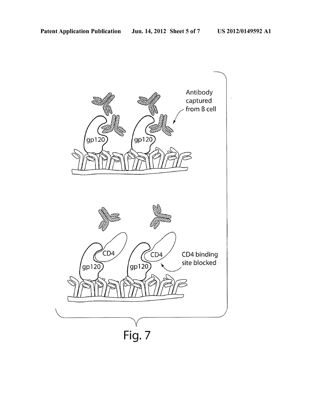 Compositions And Methods For Assessing Cytotoxicity Of Single Cells - diagram, schematic, and image 06