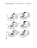 MARKERS FOR DIAGNOSIS OF PULMONARY INFLAMMATION AND METHODS RELATED     THERETO diagram and image