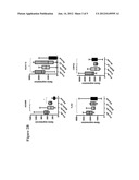 MARKERS FOR DIAGNOSIS OF PULMONARY INFLAMMATION AND METHODS RELATED     THERETO diagram and image