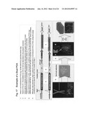 Protein fragment complementation assays for high-throughput and     high-content screening diagram and image