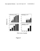 USE OF PEPTIDES COMPRISING POST-TRANSLATIONAL MODIFICATIONS IN THE     TREATMENT OF AUTOIMMUNE PATHOLOGIES diagram and image