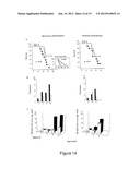 USE OF PEPTIDES COMPRISING POST-TRANSLATIONAL MODIFICATIONS IN THE     TREATMENT OF AUTOIMMUNE PATHOLOGIES diagram and image