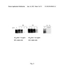 HUMIC SUBSTANCES AND USES THEREOF IN AGRO-ENVIRONMENT diagram and image