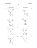 KINASE INHIBITORS diagram and image