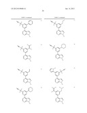 KINASE INHIBITORS diagram and image