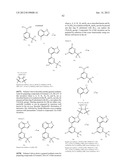 KINASE INHIBITORS diagram and image