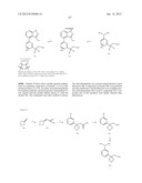 KINASE INHIBITORS diagram and image