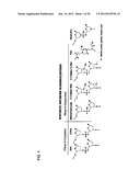 TRICYCLO-DNA ANTISENSE OLIGONUCLEOTIDES, COMPOSITIONS, AND METHODS FOR THE     TREATMENT OF DISEASE diagram and image