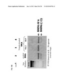 TRICYCLO-DNA ANTISENSE OLIGONUCLEOTIDES, COMPOSITIONS, AND METHODS FOR THE     TREATMENT OF DISEASE diagram and image