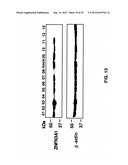 Gene and Protein Relating to Hepatocellular Carcinoma and Methods of Use     Thereof diagram and image